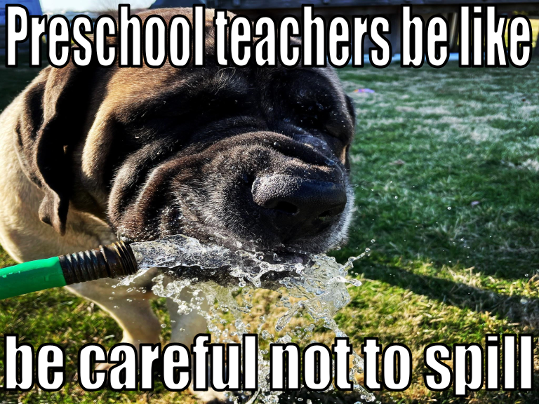 Preschool teachers Spill - Dog preschool teachers be like, be careful not to spill