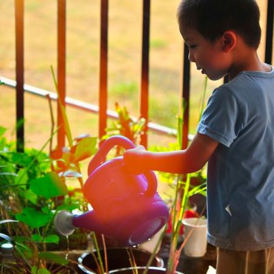 young boy gardening