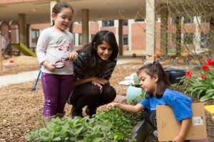 teacher looking at plants with her students