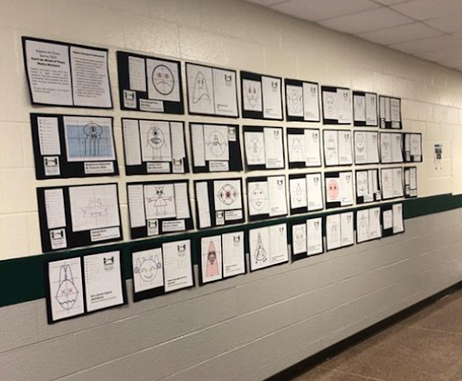 Art on Wall Wall of Desmos Artwork