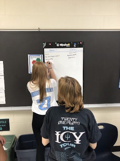 Students working at the blackboard.