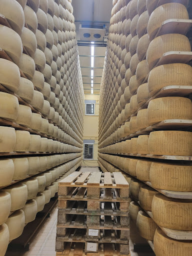 ashley-italy 6 Fratelli Galloni Facility