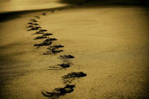 Footprints in the sand.