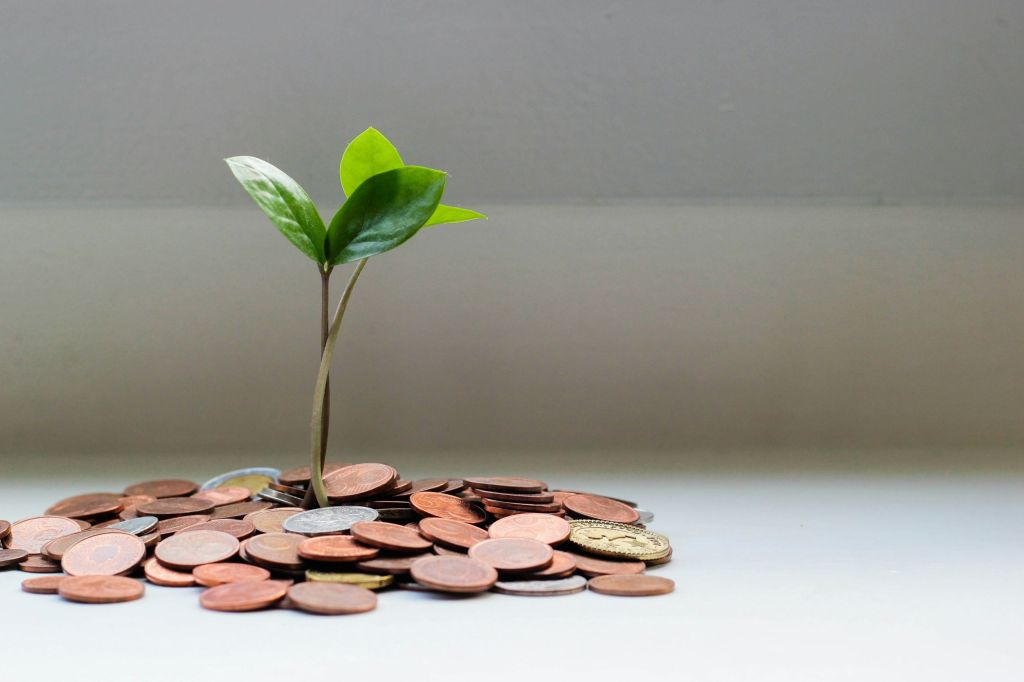 Green plant surrounded by coins.