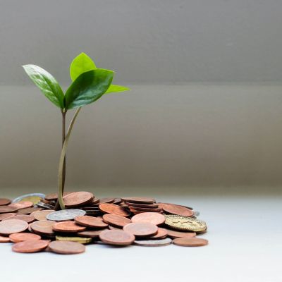 Green plant surrounded by coins.