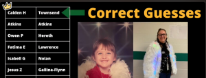 Correct Guesses.